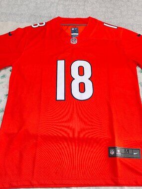Chicago Bears Sanzenbacher #18 Orange Jersey